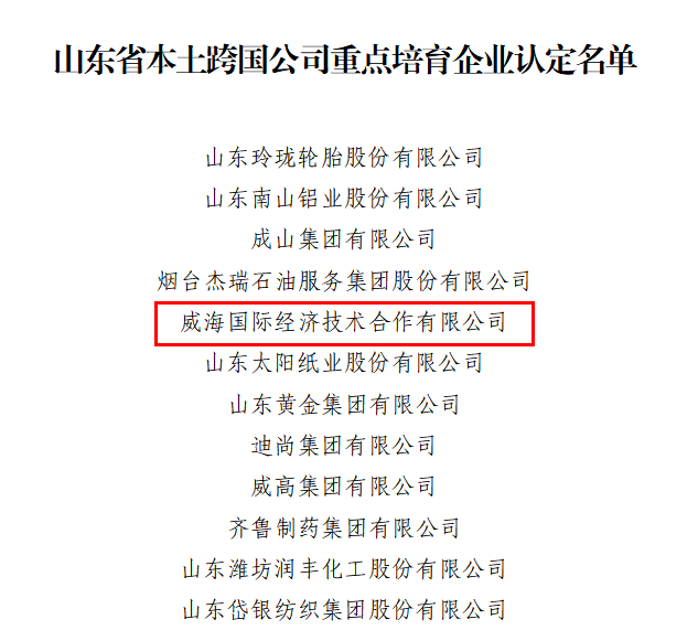 简讯│公司入选山东省本土跨国公司重点培育企业名单