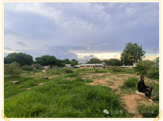 莫桑比克市场和马达加斯加市场捷报频传