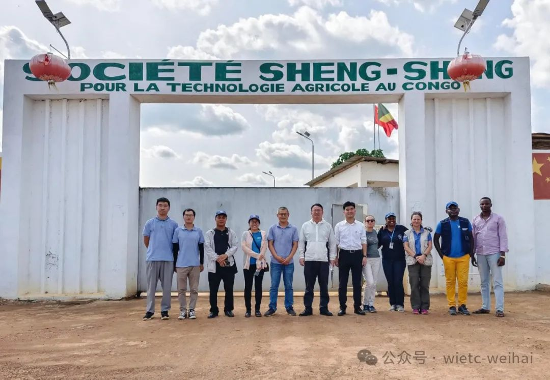 深耕非洲沃土，结出共赢硕果——威海国际刚果（布）木薯产业园谱写中非合作新篇章